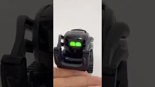 Reason why I bought this robot🥹 