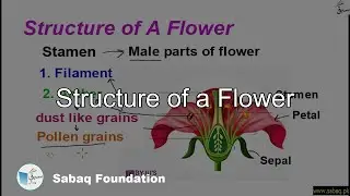 Structure of a Flower, General Science Lecture | Sabaq.pk