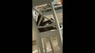 Джавид/2020/истории