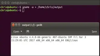 How to Save the Output of a Command to a File in Bash (aka the Linux and macOS Terminal)