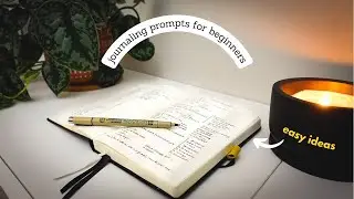 What I write in my bullet journal || prompts for beginners