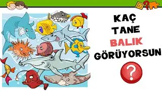KAÇ TANE BALIK GÖRÜYORSUN?