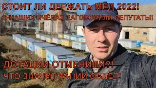 ЦЕНА НА МЁД 63-65 стоит ли держать дальше ДОТАЦИИ ОТМЕНИЛИ ПАНИКА И ПОЛИТИКА ✅🍯🐝