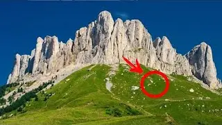 This photo has the entire Internet excited. This is what the drone found!