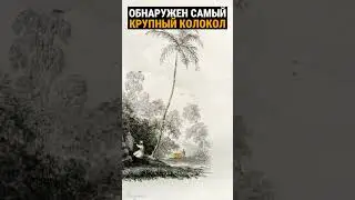 Огромные колокола по всему миру возрастом тысячи лет.