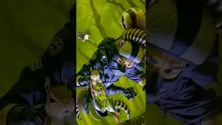 Stealthy Shenanigans: 3D Printed Ninja Squirrel Unleashed!