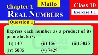 NCERT Solutions Class 10 Maths Chapter 1 Exercise 1.1 Question 1 Real Numbers in Hindi and English.