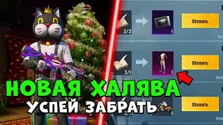 НОВАЯ ХАЛЯВА В PUBG MOBILE! КАК ЗАБРАТЬ ПОСТОЯННЫЕ СКИНЫ БЕСПЛАТНО В ПУБГ МОБАЙЛ! БЕСПЛАТНЫЕ UC ПУБГ