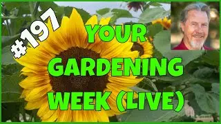 How to Teach Gardening (Q&A)