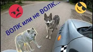 Ни чего такого...  Дед Мамон. Архангельск. Работа в такси.