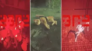 All Cat Death and Hurt [Stray Gameplay]