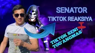 SENATOR TIK TOK REAKSIYA. PRIKOL VIDEOLAR