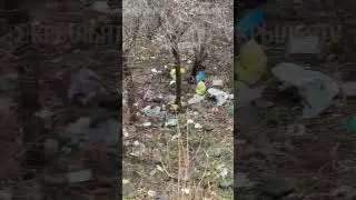 ЗАМУСОРЕННЫЕ ДОРОГИ!!!