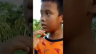 GAK NYANGKA GES!!!UMURNYA MELEBIHI ANAK SMA#shorts