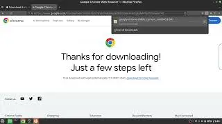 How to install google chrome in linux mint | 2024