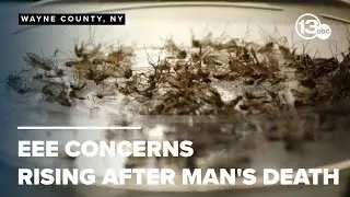 Concerns growing over EEE, a rare mosquito-borne virus that killed a New Hampshire man
