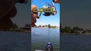 Килошная щучка на 6 дюймовую мармеладку на медленный джиг. 