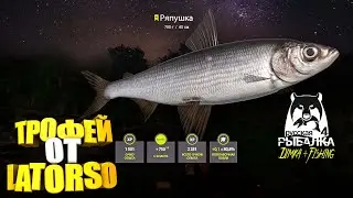 Русская рыбалка 4.🎣 БОЛОНСКОЕ УДИЛИЩЕ 👍 ТРОФЕЙ от LATORSO...👀