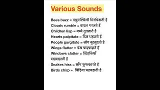 Various types of Sounds/ 