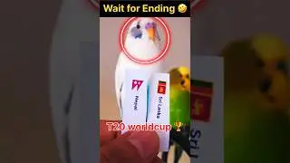 Bird predict worldcup 2024 🏆🇳🇵|| Twist || Nepal vs Sri Lanka || Nepal cricket live ||