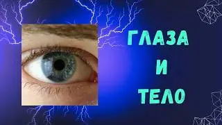 Влияние глаз на напряжение в теле в симпатике и парасимпатике.