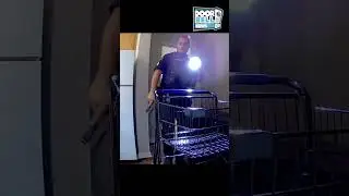 Raleigh Cops Mean Business (Caught on Ring Cam)