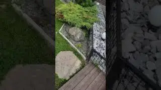 утро на алтае