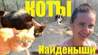 ВЛОГ: Один день из жизни в деревне. КОТЫ НАЙДЁНЫШИ .