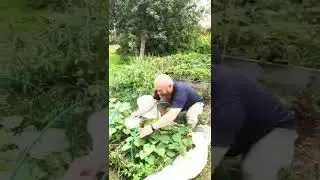 ДЕТИ ХОДЯТ ПО ДОМУ И ПОВТОРЯЮТ ПОСЛЕДНИЕ СТРОЧКИ ИЗ ВИДЕО)) В ЛУЧШИХ ТРАДИЦИЯХ ЖАНРА)))