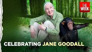 Glimpses of the extraordinary life and work of primatologist Jane Goodall | THE WEEK