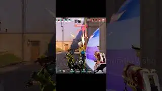 Clove classic ace 