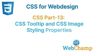CSS part-13 Web Design Deep Dive: Perfecting CSS Tooltips and Image Presentation