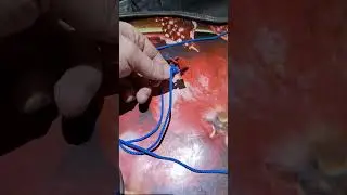 Амуниция для хищных птиц и попугаев 🤘🤘🤘