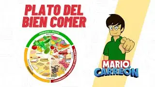 🍏 El Plato del Bien Comer 🍊