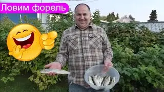 Жизнь в США | Аляска Рыбалка на озере | Ловим форель на яйца | USA Анкоридж
