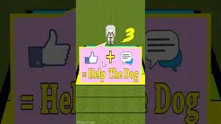 Will The Dog Be Able To Complete The Challenge? 👍️