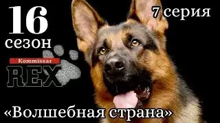 Комиссар Рекс, 16 сезон, 7 серия «Волшебная страна»