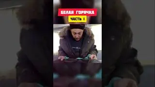 БЕЛАЯ ГОРЯЧКА - СИНИЕ ЗАЙЦЫ ЧАСТЬ.1