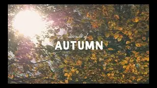 SOUNDS OF AUTUMN | PANASONIC G85/G80