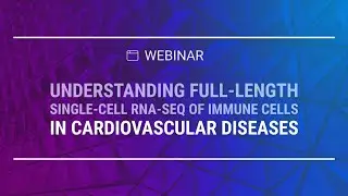 Understanding full-length single-cell RNA-seq of immune cells in cardiovascular diseases