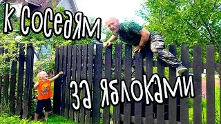 НАВАРЮ-КА Я КОМПОТА ДЛЯ ТОЛЯНА И БЛОКНОТА. ОБЗОР ЯБЛОНЬ И УСАДЬБЫ. ЛЕНУ С ГОДОВЩИНОЙ СВАДЬБЫ!