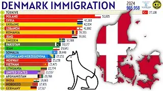 Largest Immigrant Groups in DENMARK