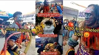 Keganasan Seni Jaranan Krisno Budoyo Banyuwangi ❗Bikin heboh 