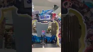 Bangkok Sealife at Siam Paragon Mall