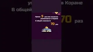 Почему АльАкса важна для мусульман АльКуддс Иерусалим - Исламский журнал UMMA 