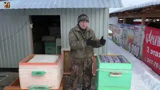 А есть ли разница?!  Зимовка в деревянном и ППС ульях.
