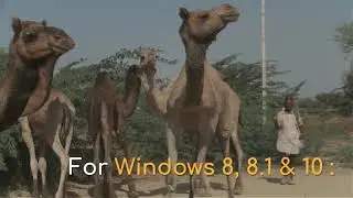 Error 0x1f