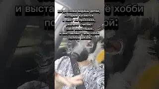 маленькие дети выставляют наше хобби полной шизой... 