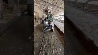 Intelligent Cow Transport  