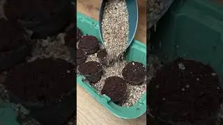 Торфяные таблетки